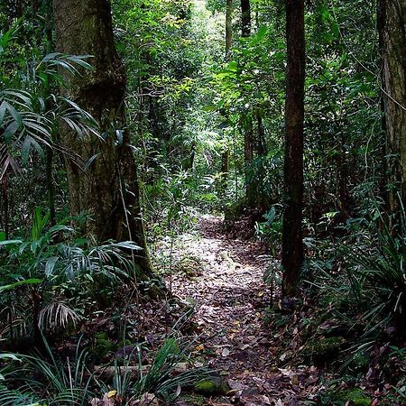 Springbrook Lyrebird Retreat Villa Kültér fotó