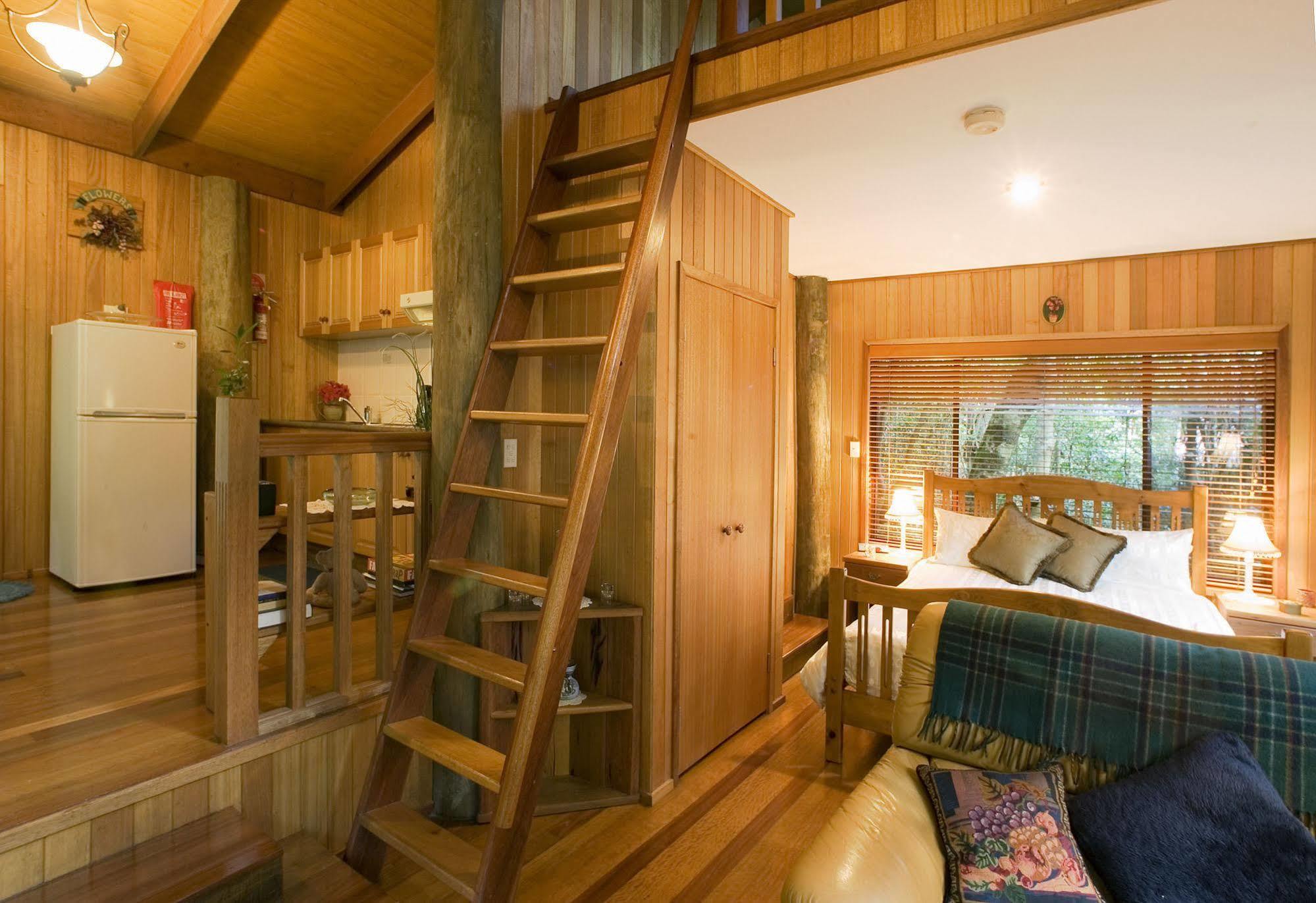 Springbrook Lyrebird Retreat Villa Kültér fotó