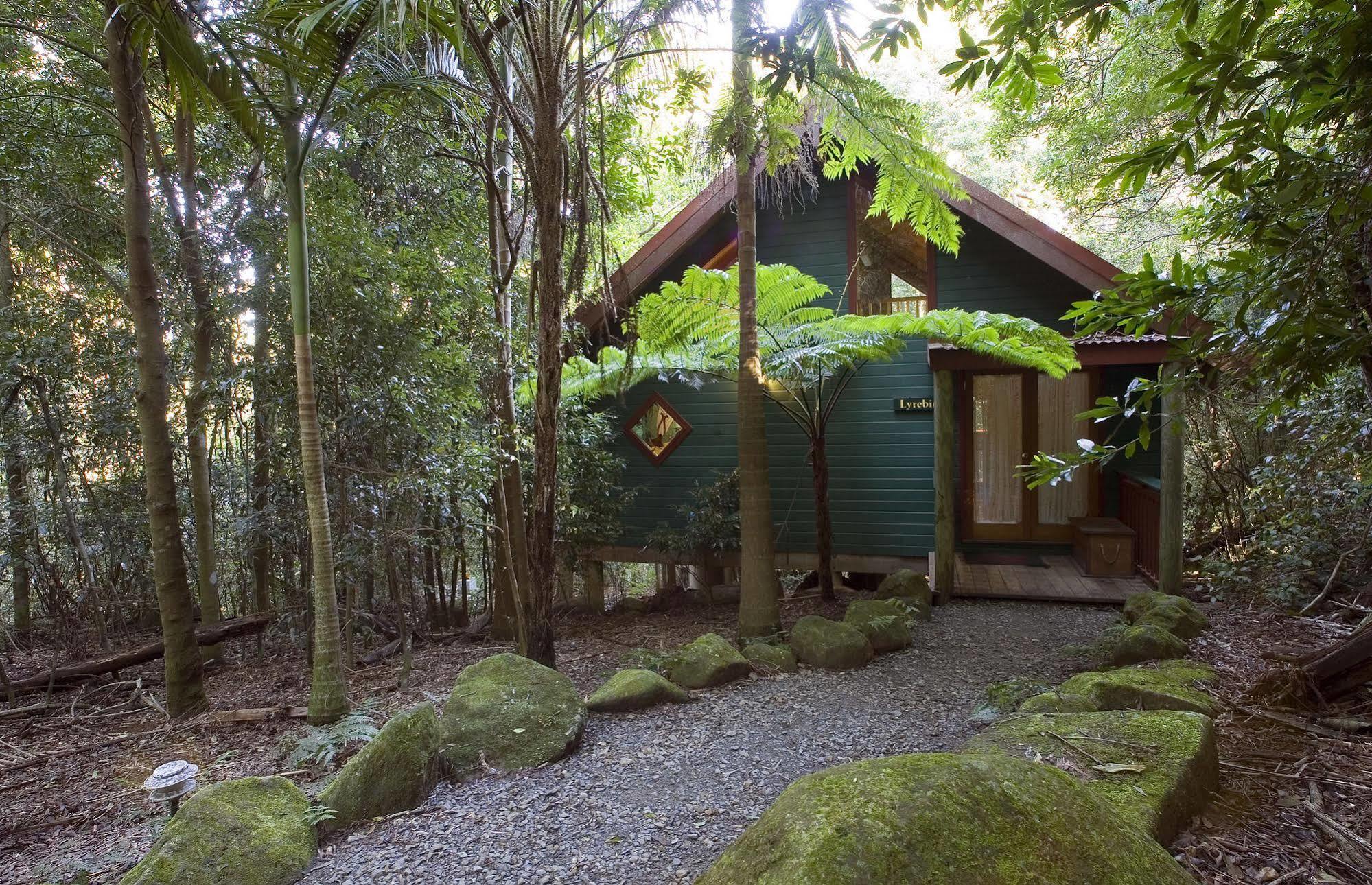 Springbrook Lyrebird Retreat Villa Kültér fotó