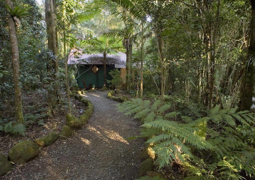 Springbrook Lyrebird Retreat Villa Kültér fotó