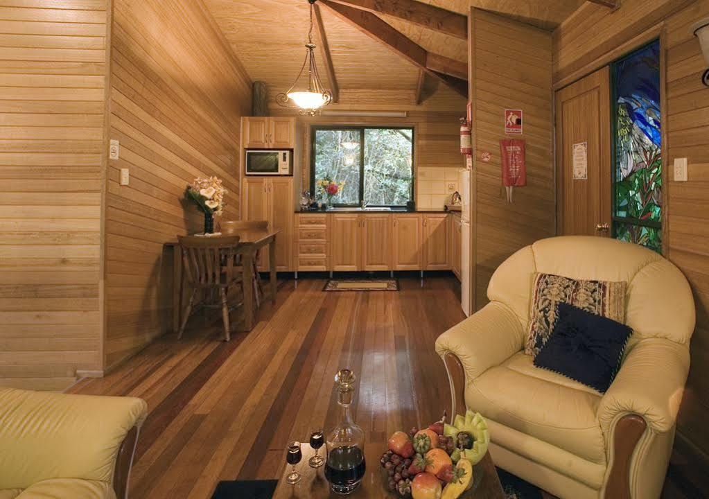Springbrook Lyrebird Retreat Villa Kültér fotó