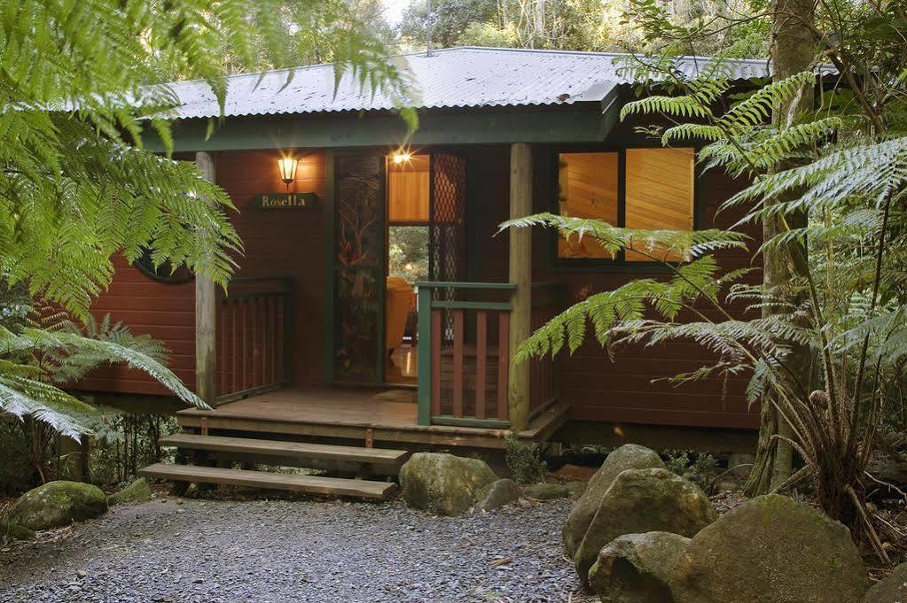 Springbrook Lyrebird Retreat Villa Kültér fotó