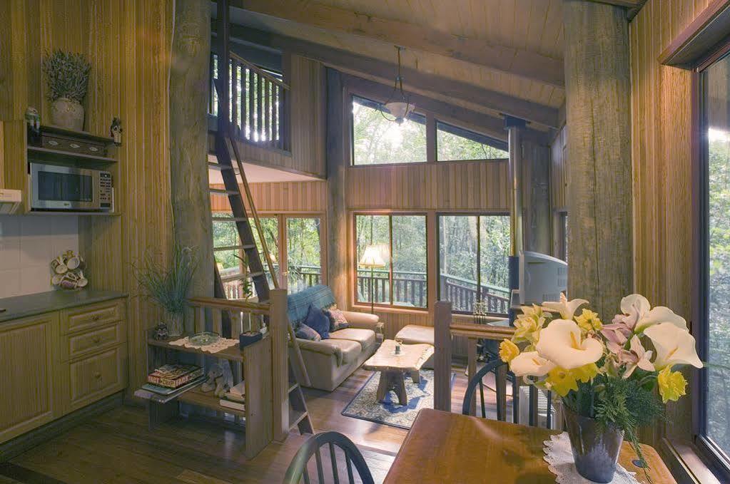 Springbrook Lyrebird Retreat Villa Kültér fotó