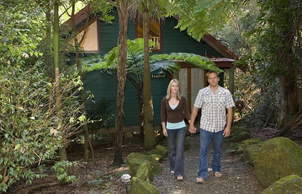 Springbrook Lyrebird Retreat Villa Kültér fotó